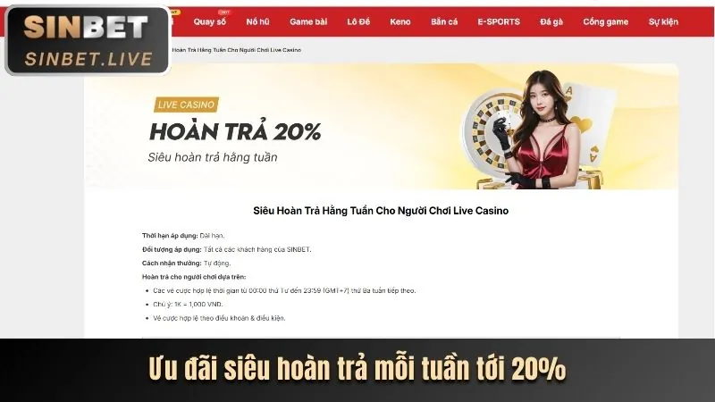 Cập nhật hệ thống và bảo trì Mebet